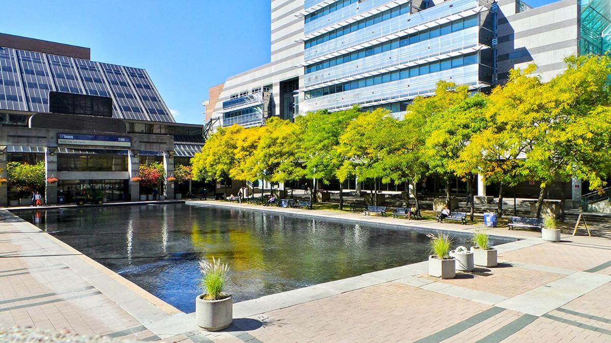 Beautiful Room At Yonge And Sheppard And North York Centre Торонто Екстер'єр фото